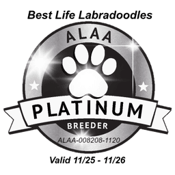 ALAA Platinum Breeder