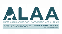 ALAA Platinum Breeder