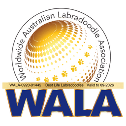 WALA