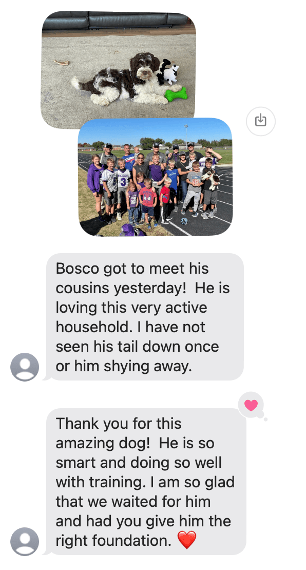 Bosco: Tilly x Mojo