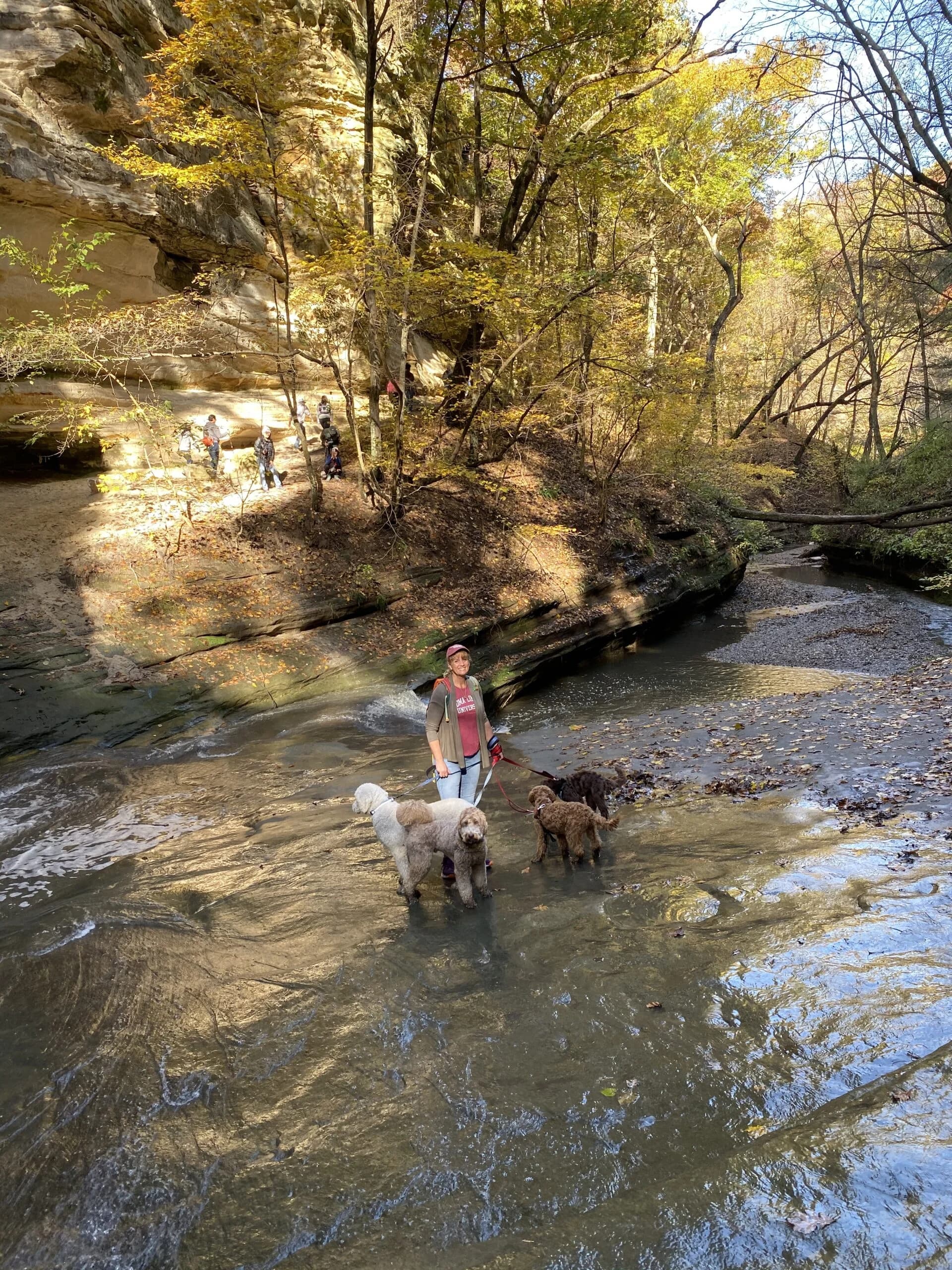 The Bautz family and their dogs