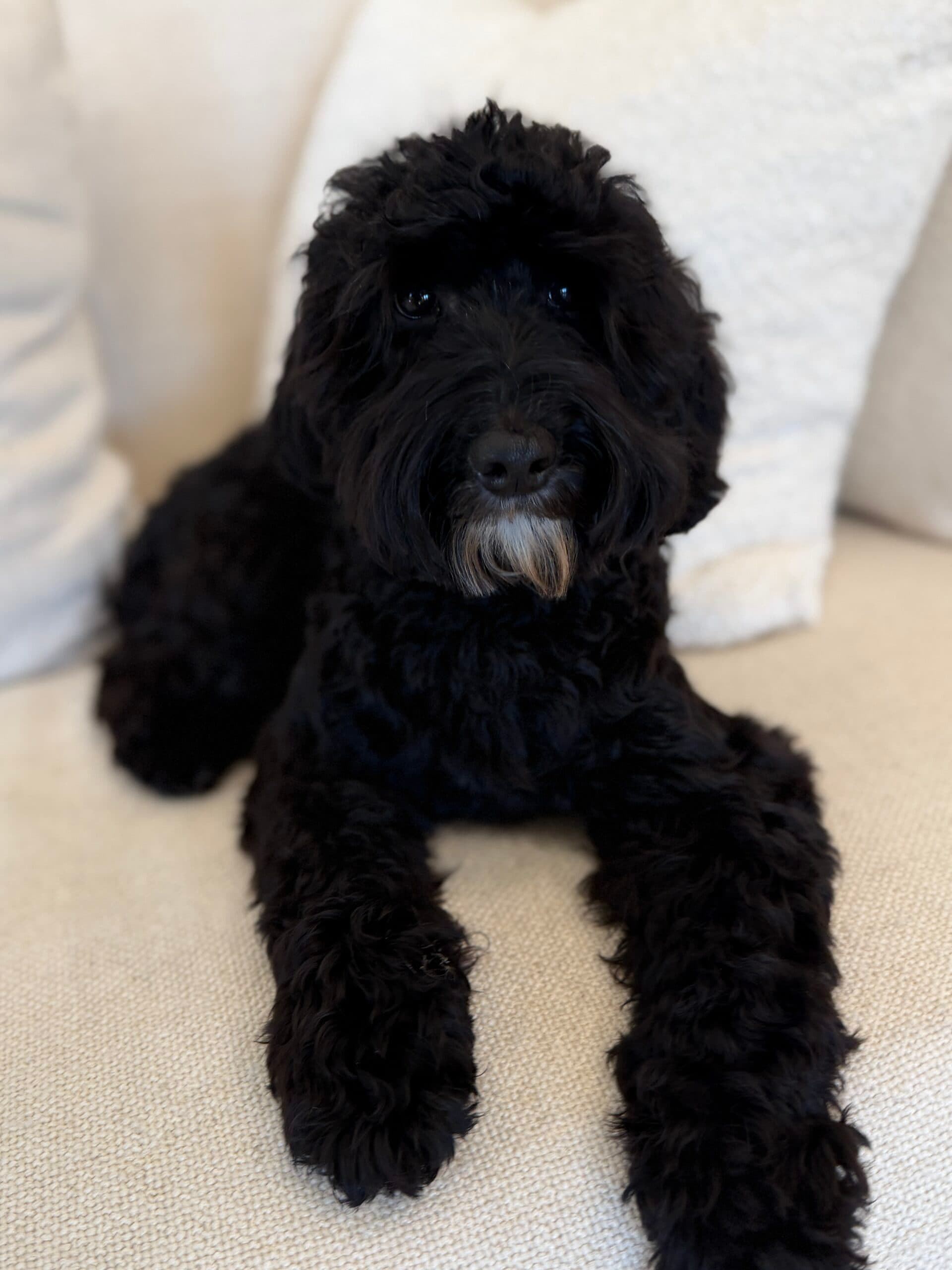 SOLD: Miller is SOLD and will be Living His Best Life in Tarrytown, NY