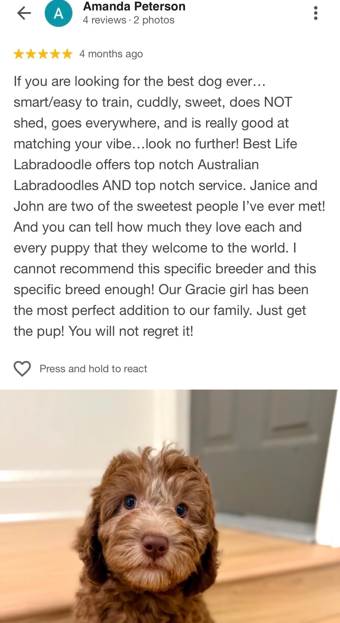 5-Star Review