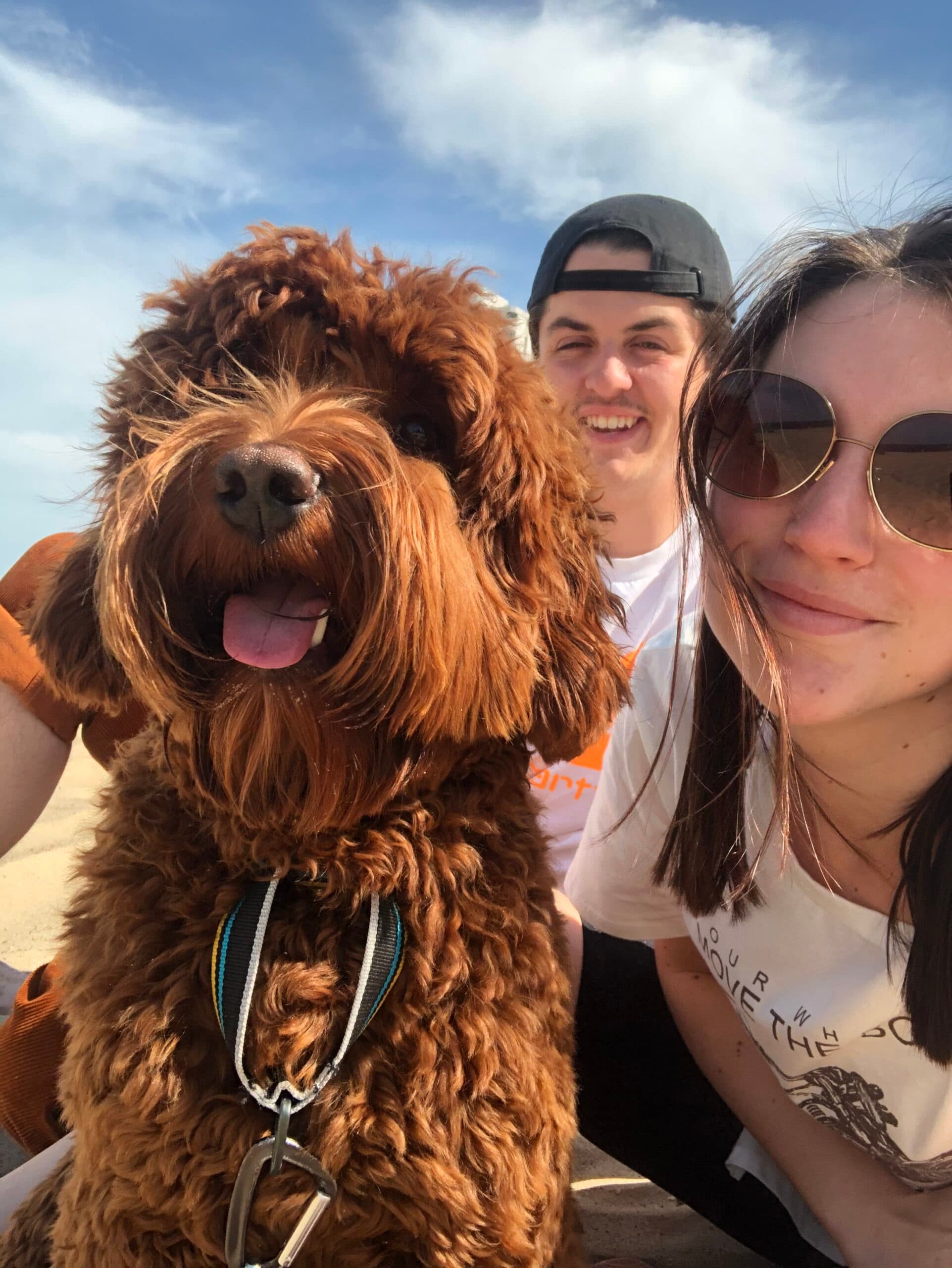The Bautz family and their dogs