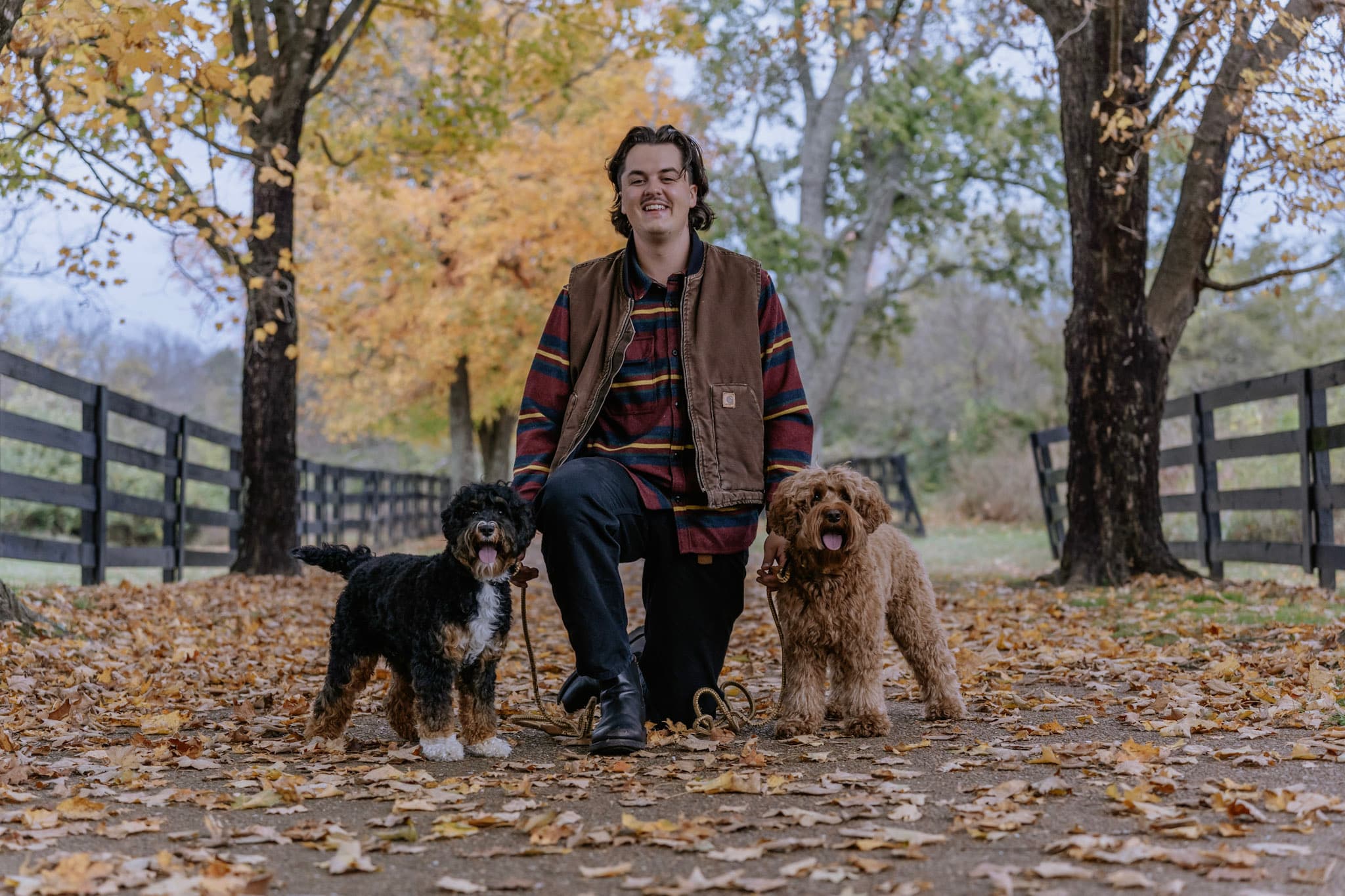 Breeder kneeling with a bernedoodle and red doodle on a golden autumn fence lane